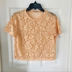 NWOT Zara peach half crop lacy lace sheer stretch shirt size small